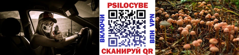 дарнет шоп Воскресенск Галлюциногенные грибы Cubensis